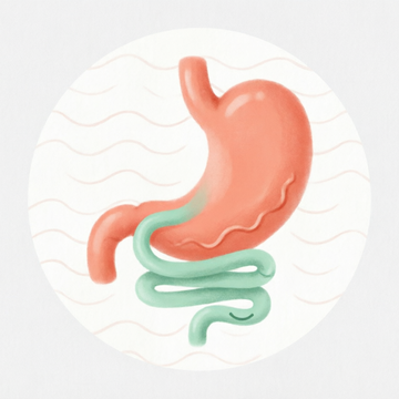 Gut Health