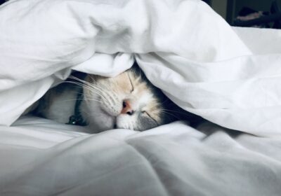 How Quality Sleep Supercharges Your Health and Preventive Fitness