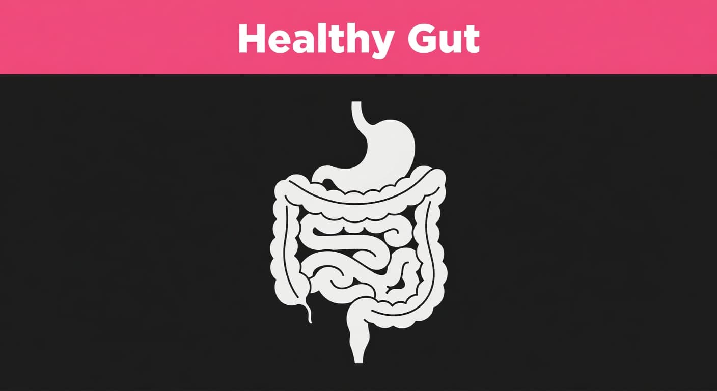 A minimalist, high-contrast graphic features a stylized digestive tract centered against a clean background. A bold pink header bar displays the text Healthy Gut in a modern, clean sans-serif font.
